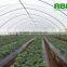 Tunnel Greenhouse film cover low cost agricultural farm Steel Frame comercial green house single span