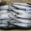 high quality fresh sea frozen cheap Pacific mackerel
