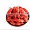 Natural Dried Wolfberry Fruit Organic Goji Berries Tea Herbal Beauty Slimming Tea