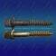 Pointed tail screw spike 24X165