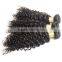 Fast Delivery Online Shop 100% Unprocessed Wholesale Tangle Free No Shedding Curly Raw Virgin Indian Hair