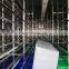Automatic barley green grass hydroponic fodder machine / hydroponic fodder container