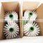 Customized Industrial Cylinder Clean Dust Roller Nylon Brush