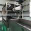 Industrial rotary fruit  vegetable washing machine large mango tomato pineapple fruit
