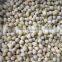 Sinocharm BRC-A Certified Chinese Ginko Nut IQF Frozen Ginkgo Nut