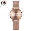 HANNAH MARTIN CC36 Lady Quartz Watch Stainless Steel Classical Business Waterproof Calendar Top Brand Luxury Clock