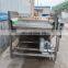 Commercial A Tomato Potato Food Bubble Type Clean Equipment Vegetable Fruit Wash And Dry Process Machine