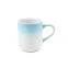 Modern Sky Blue Reactive Dinner Set 16pcs For Sale