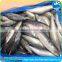 Pacific Seafood Frozen Mackerel 200-300g Fish