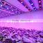 18W White Light Indoor Plant Tissue Culture T8 LED Grow Tube Light for Vegetable