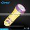 Most powerful plastic small led torch light