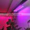DC12V LED Grow Lights 5050 Strip