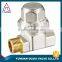 Psi 600 BSP Thread Brass T Type Strainer