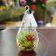 Artificial Plants Succulent Plant Hanging Glass Terrarium