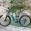Chinese best e bike manufacturer,cheap aliminum alloy e bike with Brushless Motor