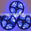 flexible led light strip 3528 12v 30pcs leds per meter blue light non-waterproof 2.4watt per meter high quality 2 years warranty