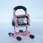 pink color of 10w rechargeable led flood light