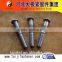 special fastener screw