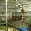 Sheep slaughter equipment bleeding line