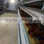 chicken egg poultry farm