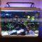 Hot selling! 72 inch fresh water fish dimmable led vivid color /lunar cyxle aquarium light color changing led aquarium light