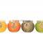 garden decoration wholesale crackle glass candle holder