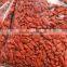 Hot Sale Ningxia Dried Goji Berry 500 Per 50g