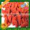 Bio Certified Ningxia Organic Goji Berries Dried Goji Berries