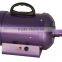 Top grade best selling pet electric water blower