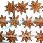2015 New Crop Good Aroma Well Dried Star Aniseeds