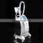 500W Perfect Cryo Technology Beauty Body Slimming Salon Cryolipolysis Beauty Machine/ETG50-3S