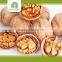 bulk dried walnuts with thin shell, walnut kernels for sale