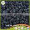 Sell China Frozen Blackberry Fruit, Frozen berries Grade A