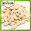 Great sales raw pumpkin seeds with best quality and price