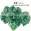 Chinese vegetable seeds hybrid F1 spinach seeds for growing-Fu Xin