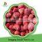 Wholesale Frozen Fruits Iqf Frozen Strawberry From China