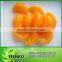 2014 canned mandarin orange