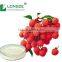 100% water solubility Litchi Fruit Powder