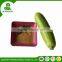 Professional biochemical fertilizer for plant growth for fruit