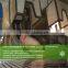 pig slaughter equipment/200 head pig slaughtering machine line