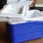 6L portable plastic cooler box vaccine box