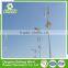 The Lowest Price Best Quality 500w small vertical wind turbine street lights for home use