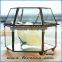 Home Decor Round glass flower box , Glass Plant Terrarium wholesale