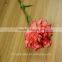 High quality cut fresh flower/diverse carnation high quality wholesale from yunnan