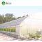 Hot Sale Commercial Polycarbonale Small Single Span Greenhouse