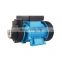 Good Price 1 Hp Electric Motor Plastic Head QB60 QB80 Water Pump