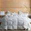 Hot Selling Fashion Soft Cotton Quilt Cotton Goose Down(Duck Down) Comforter Quilt