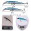 Hot Selling New Design 10cm/7g 12cm/11.8g Minnow Lures With Ring Bead Bait