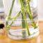 K&B modern tall clear glass cylinder vase various sizes tall glass vase for wedding