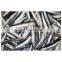 Sea frozen anchovy fish block good quality